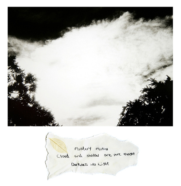 cloud  shadow fort collins co 2001.jpg